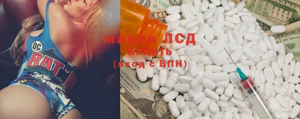 индика Волоколамск