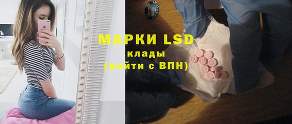 индика Волоколамск