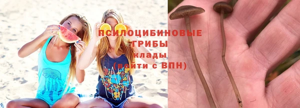ешки Волосово