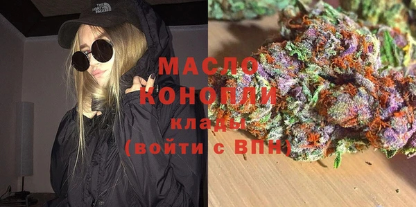 индика Волоколамск