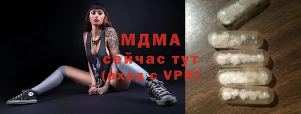 индика Волоколамск