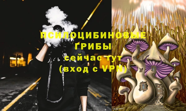 индика Волоколамск