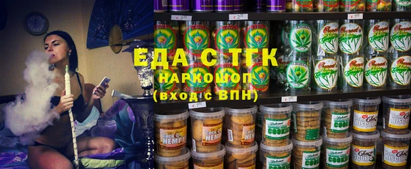 индика Волоколамск