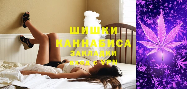 индика Волоколамск