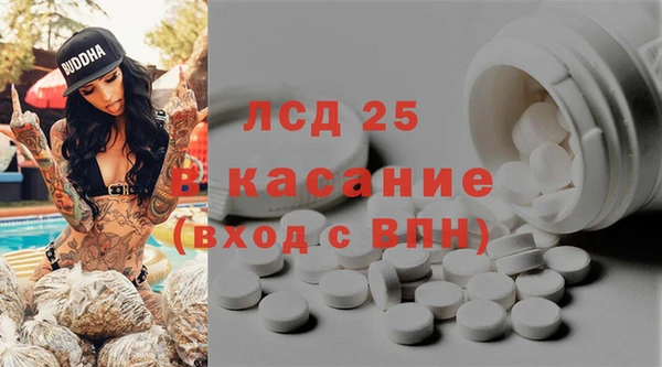 индика Волоколамск