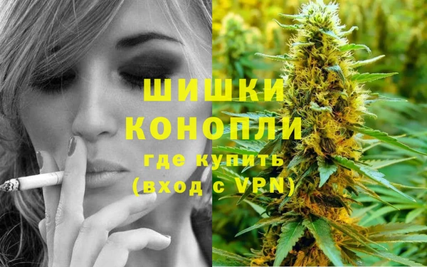 индика Волоколамск