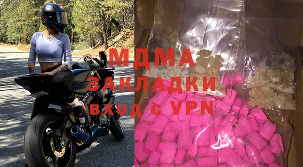 индика Волоколамск