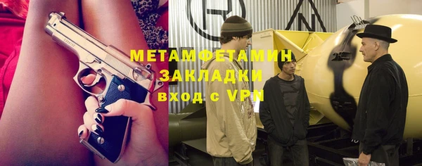 индика Волоколамск
