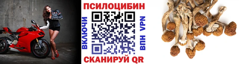Псилоцибиновые грибы ЛСД Купить Белая Холуница