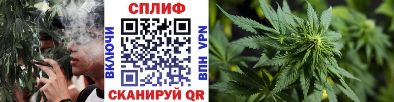 Купить  Белая Холуница  Каннабис планчик 